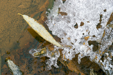 Similar image 8963362