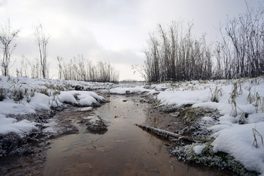 Similar image 8963384