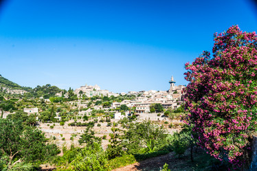 Similar image 8965941