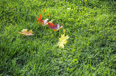 Similar image 8967041