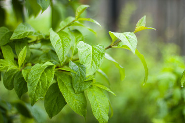 Similar image 8967048