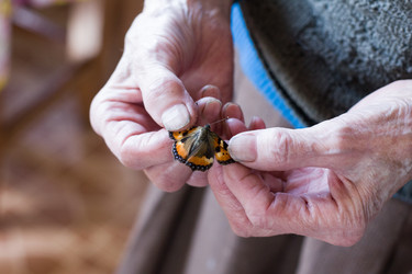 Similar image 8967051