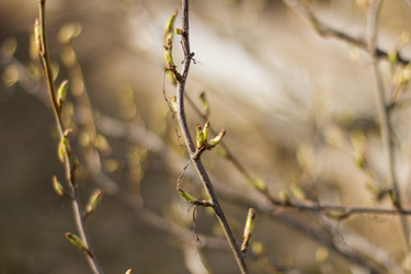 Similar image 8967053