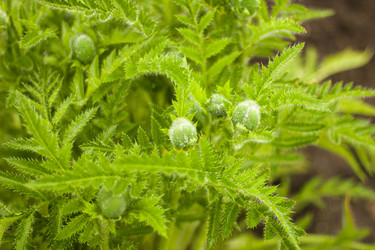 Similar image 8967059