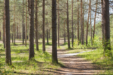 Similar image 8967062