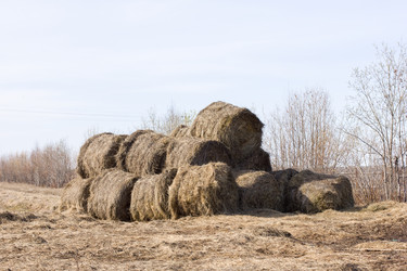 Similar image 8967064