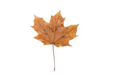 Similar image 8967066