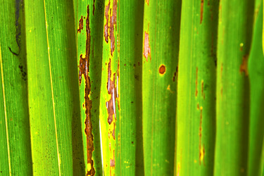 Similar image 8967368