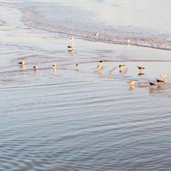 Similar image 8967377