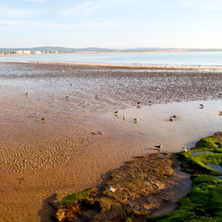 Similar image 8967380