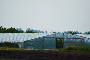 Similar image 8967776