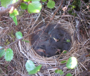 Similar image 8967789