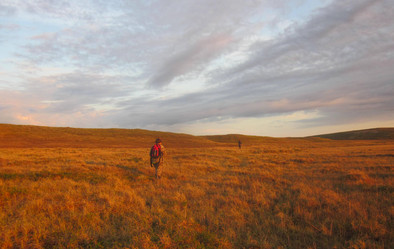 Similar image 8967792