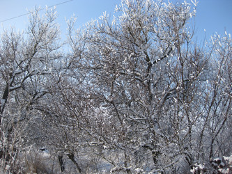 Similar image 8967897