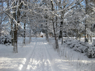 Similar image 8967901