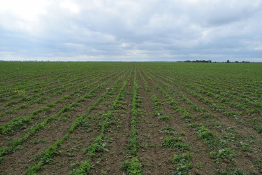 Similar image 8967905