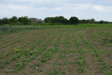 Similar image 8967907