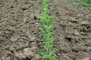 Similar image 8967916