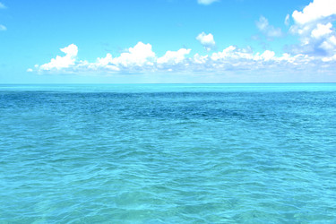 Similar image 8967971