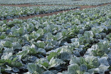 Similar image 8968278