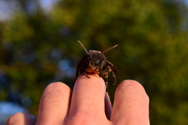 Similar image 8968311