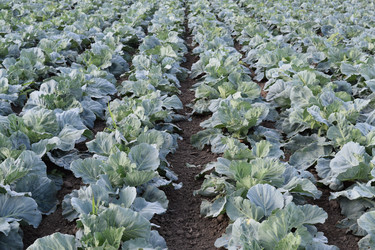 Similar image 8968466