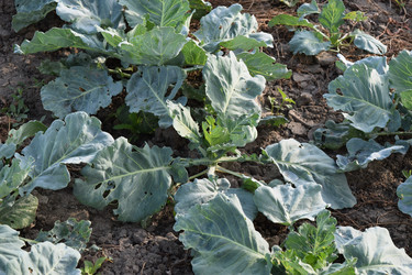 Similar image 8968468