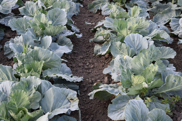 Similar image 8968470