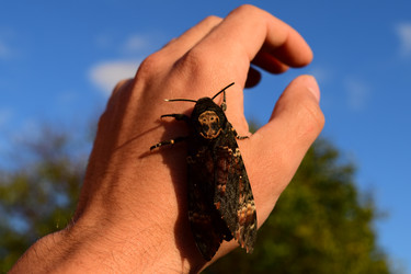 Similar image 8968516