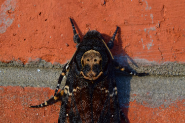 Similar image 8968528