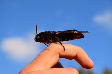 Similar image 8968530