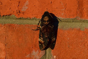 Similar image 8968544