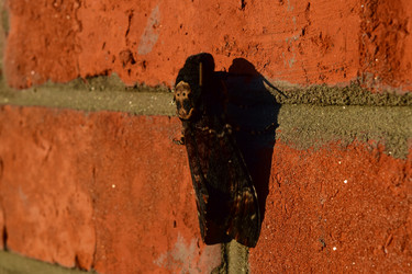 Similar image 8968551