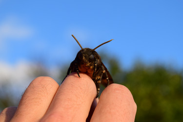 Similar image 8968555