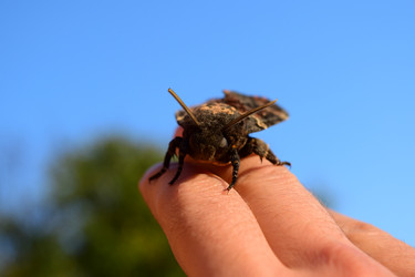 Similar image 8968559