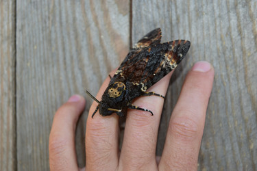 Similar image 8968591