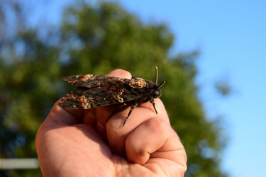 Similar image 8968605