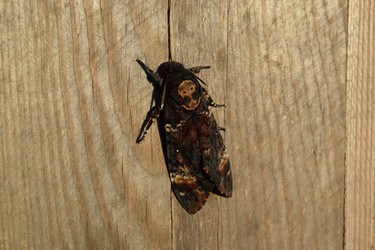 Similar image 8968607