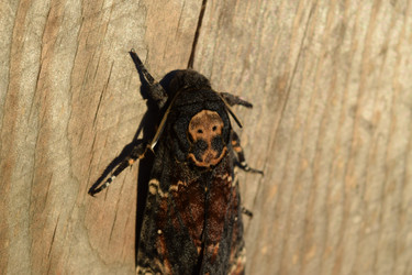 Similar image 8968609