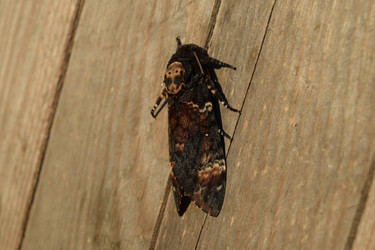 Similar image 8968611