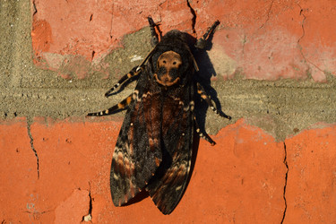 Similar image 8968613