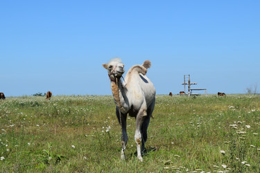 Similar image 8968632