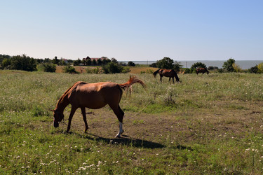 Similar image 8968646