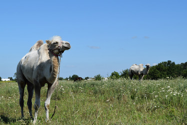 Similar image 8968652