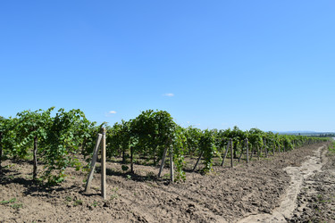 Similar image 8968664