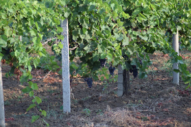 Similar image 8968676