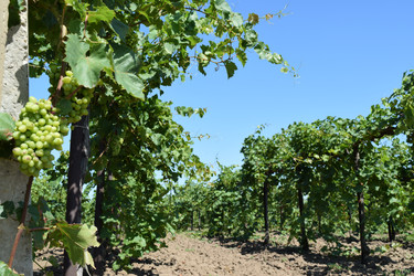 Similar image 8968678