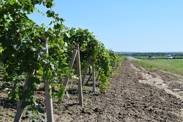 Similar image 8968680