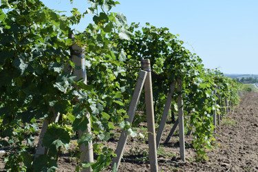 Similar image 8968686