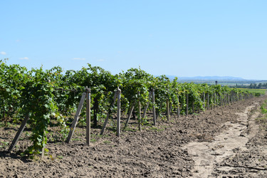 Similar image 8968696